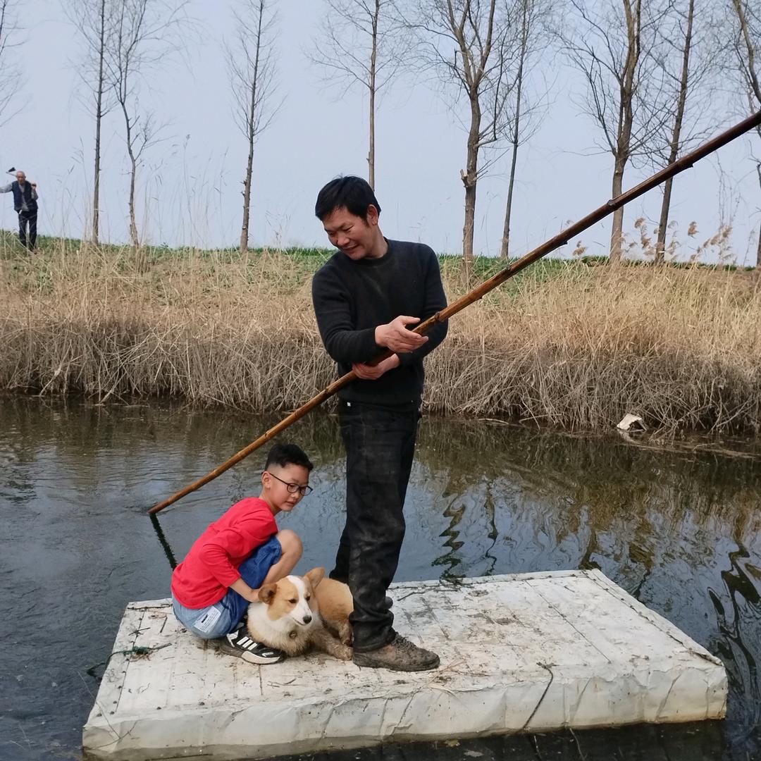 @大强来了