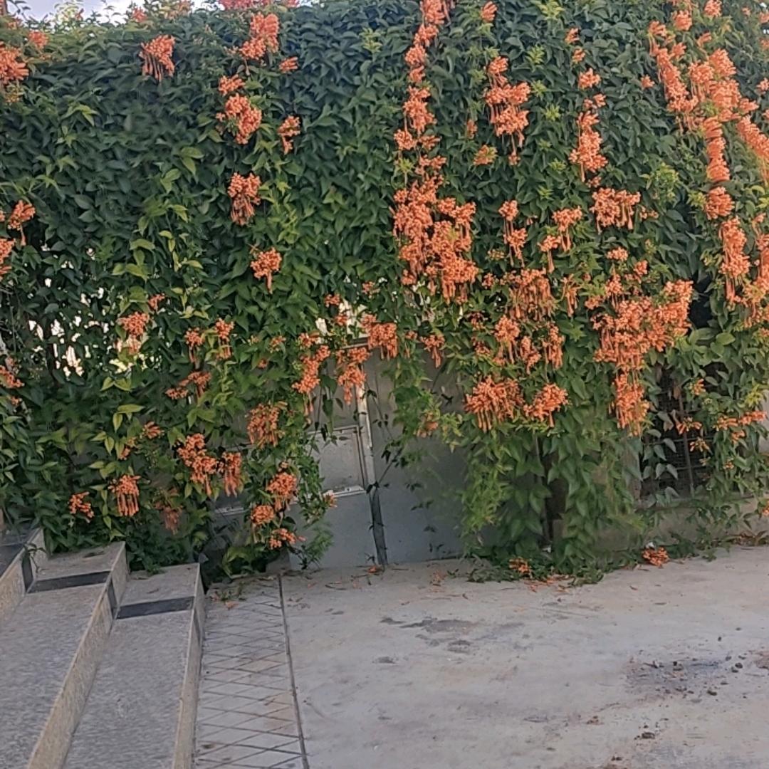 我爱你一生