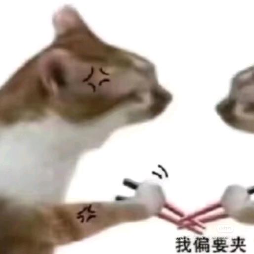 南知知知知呀