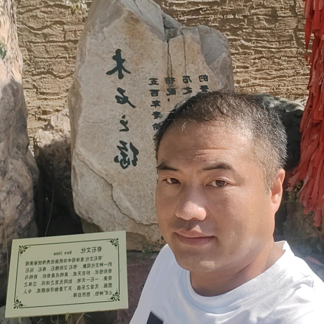 龙龙