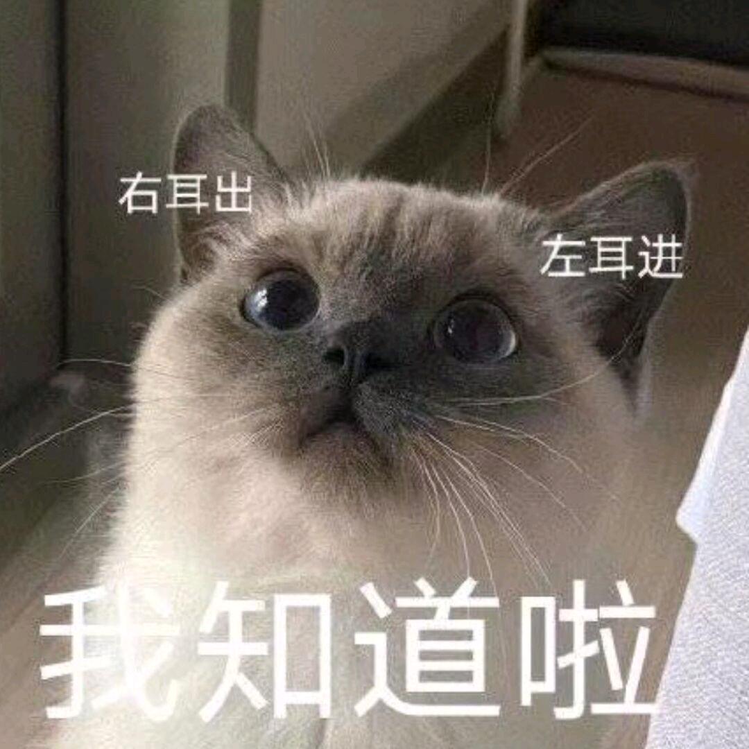 六