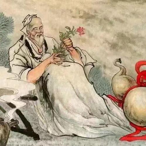 吴茱萸
