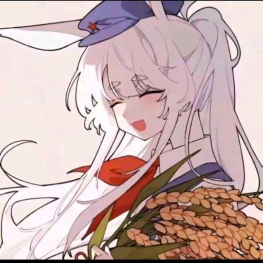 琴福安（接单中和被限流中）
