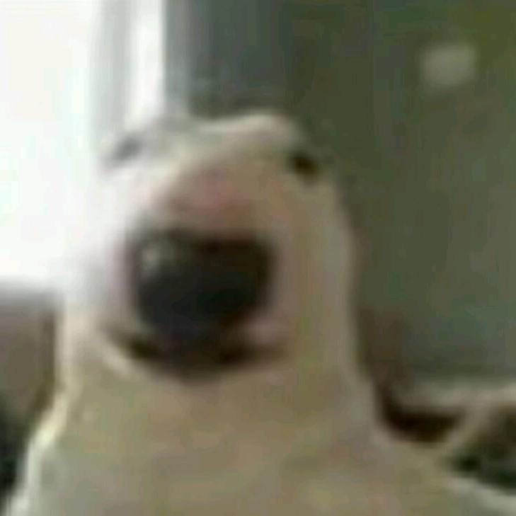 开心小云吞