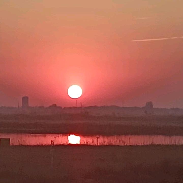 没心没肺