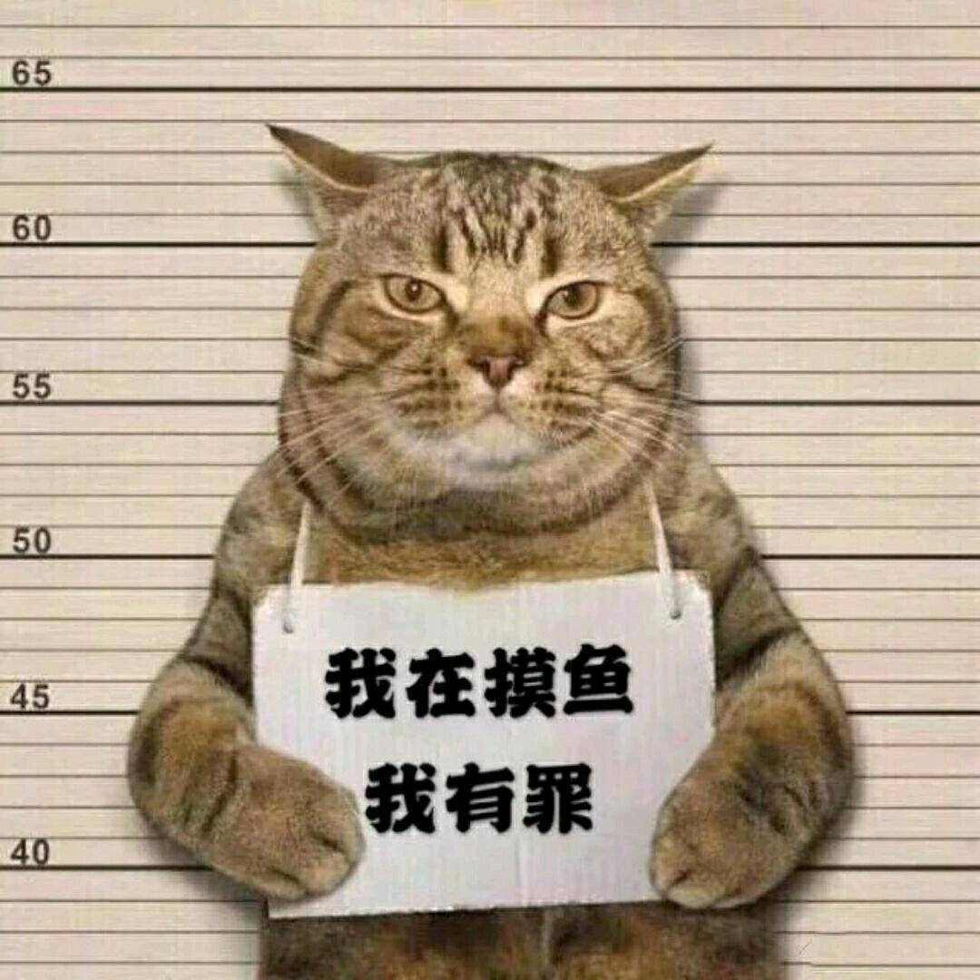 懒惰的崽崽头像