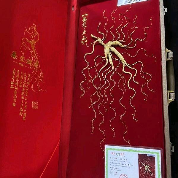 东北特产小孟先生