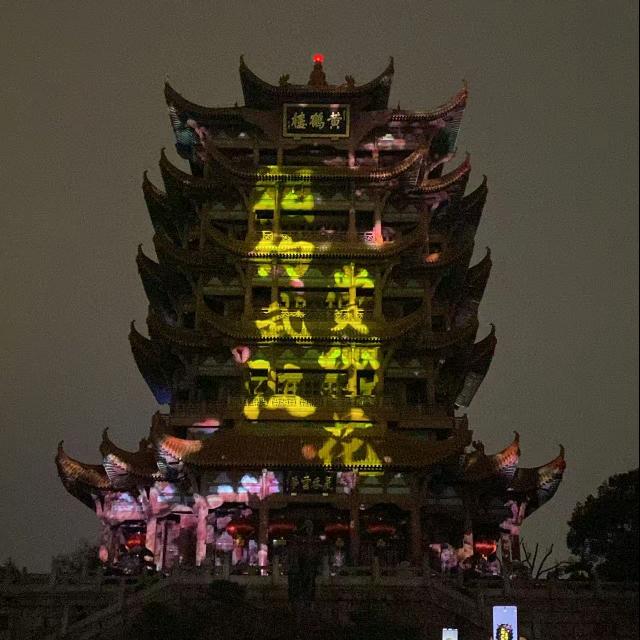 云外孤鸿