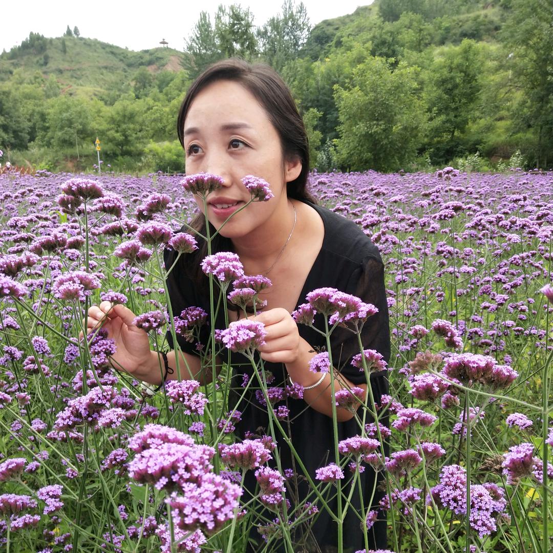 初心姐（首播）晚上11:20