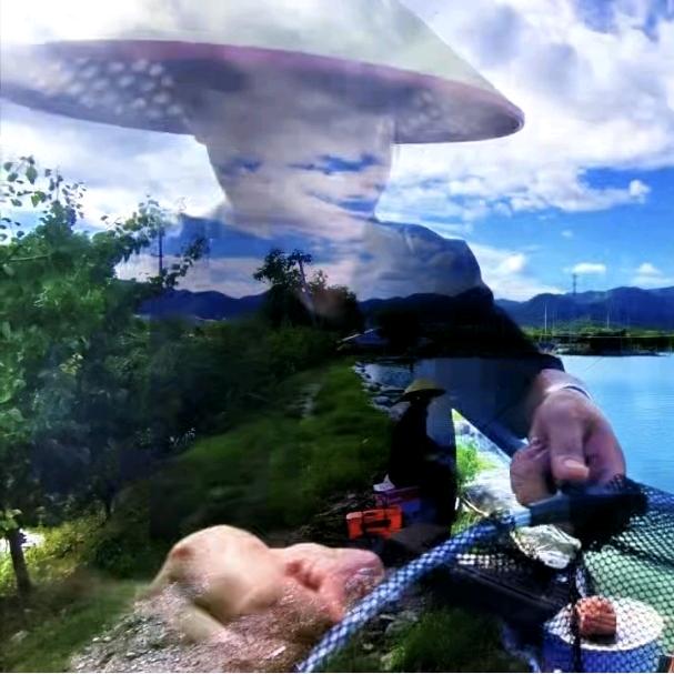 帽子哥自制鱼饵料