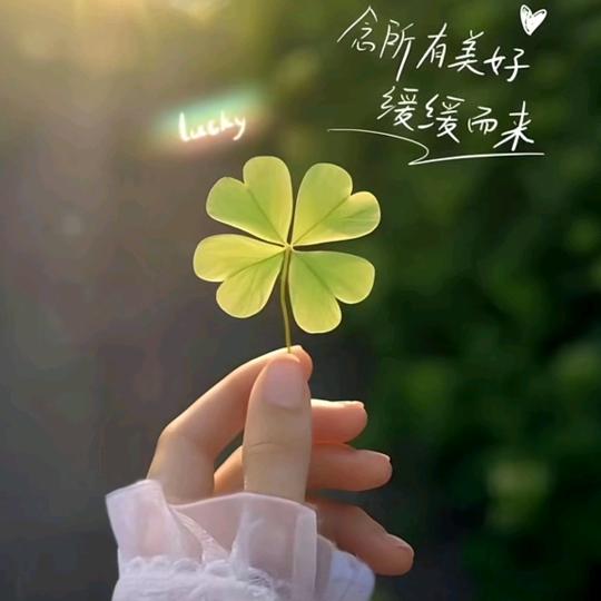 ᥫ᭡້໌🍀