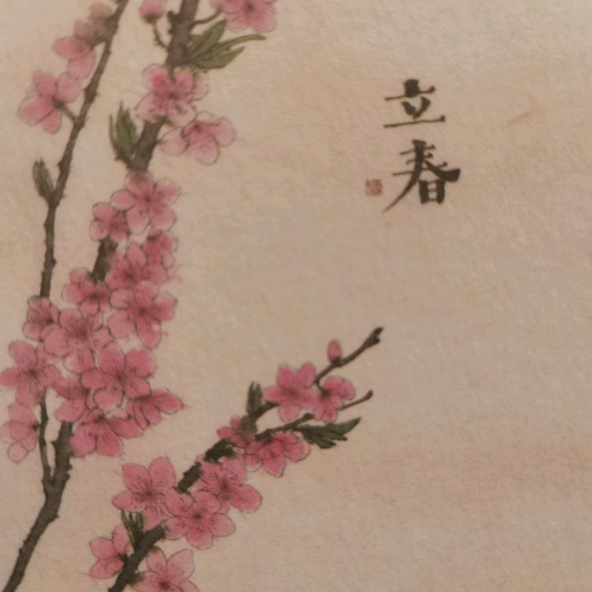 华姐🌹