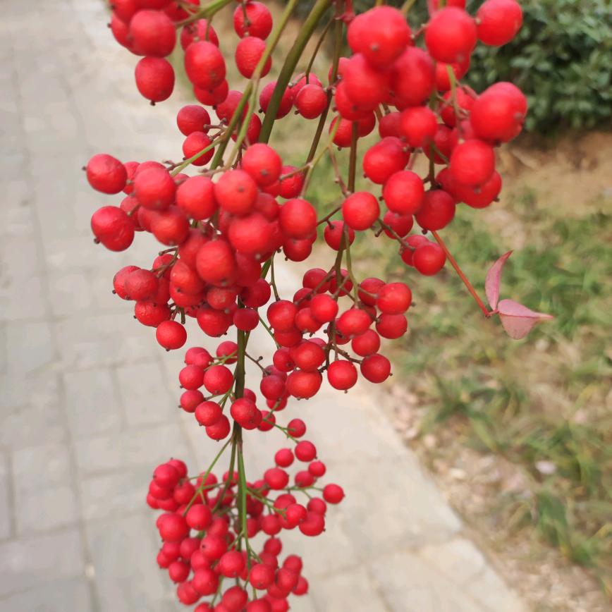 珍惜