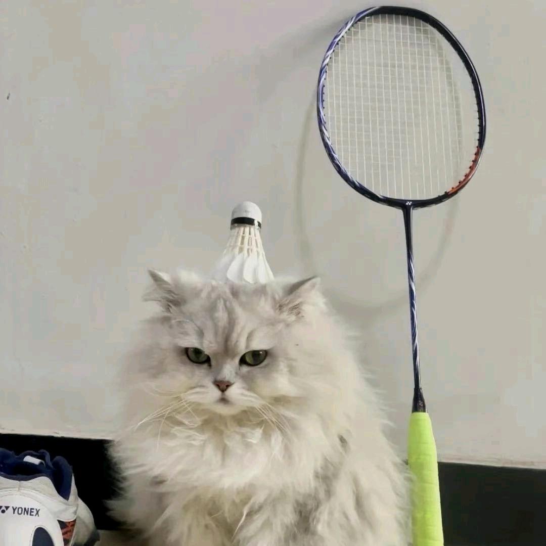 小薛要自律.🏸