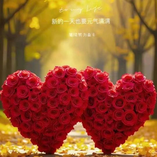 @云是沉默的雨*^O^*