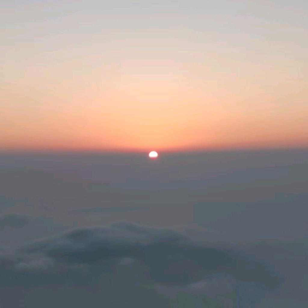 向阳而生