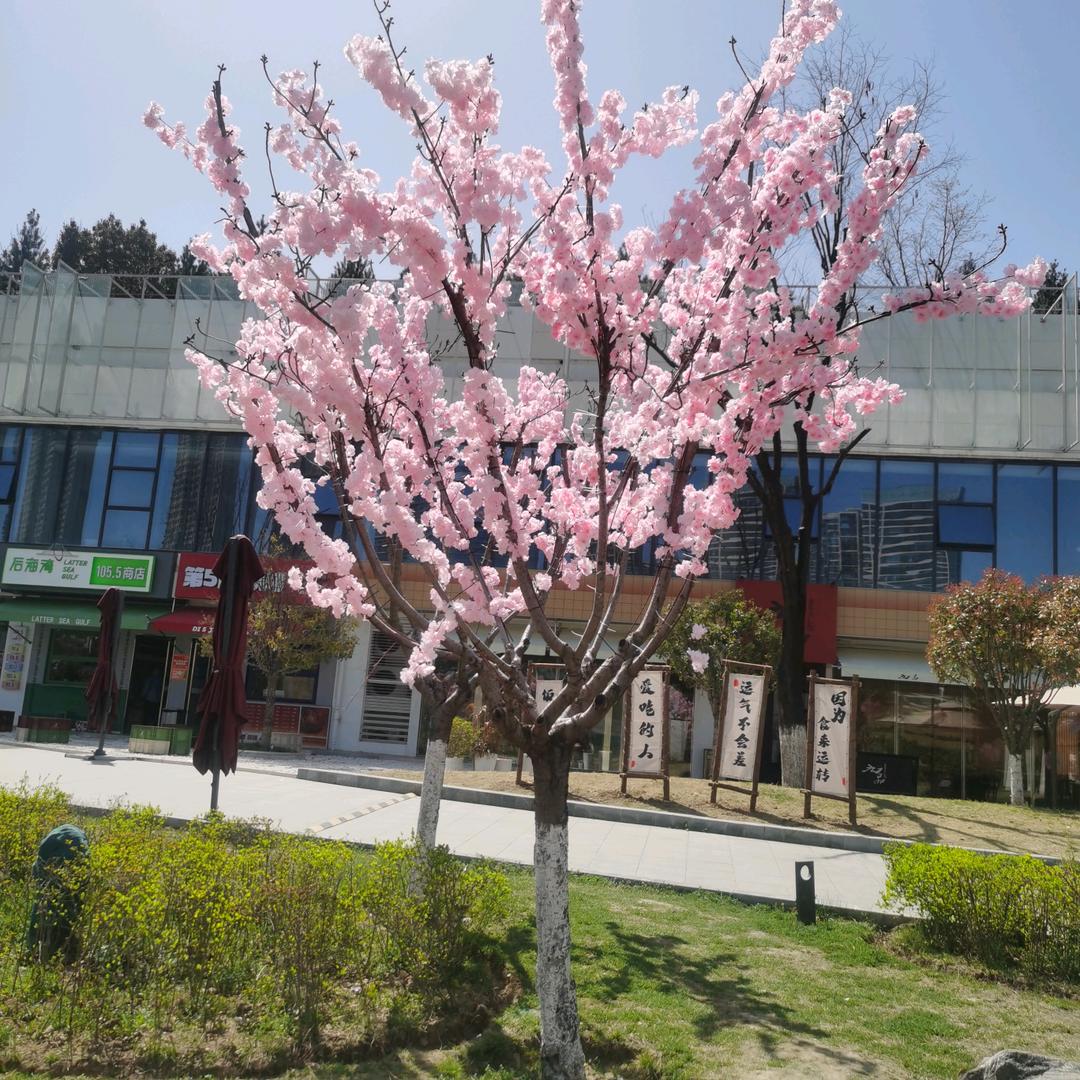 ：农村小哥（668）《谢绝连赞！