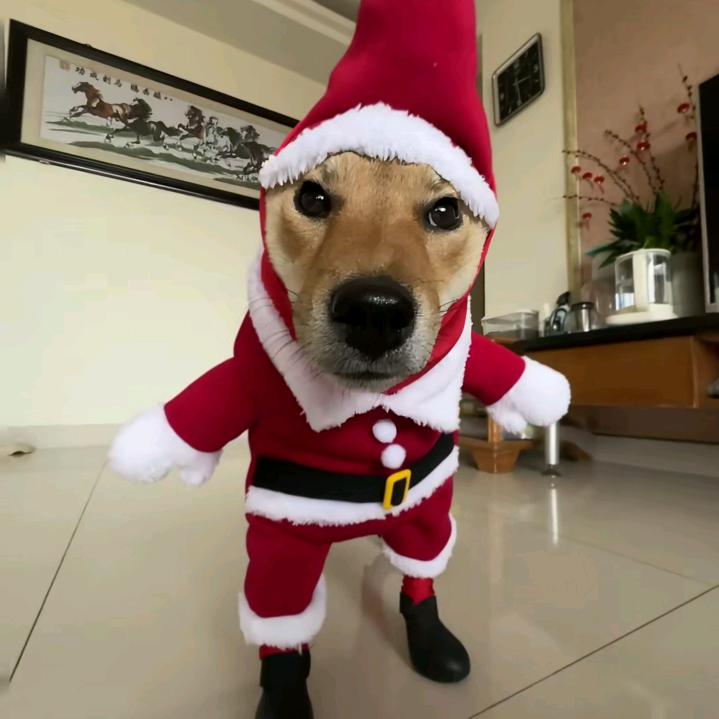 超级无敌炸薯条