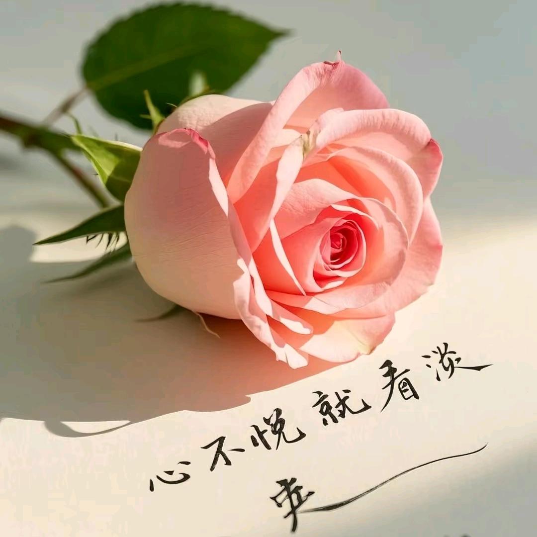 月亮邮递员