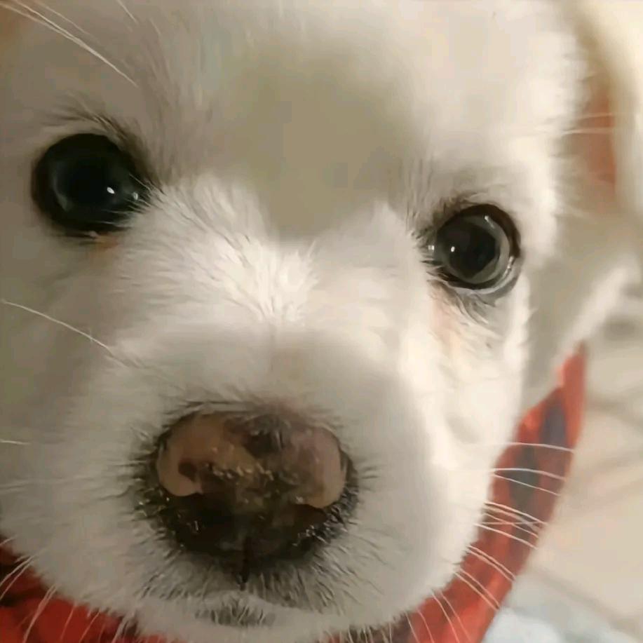 ❤永不止步