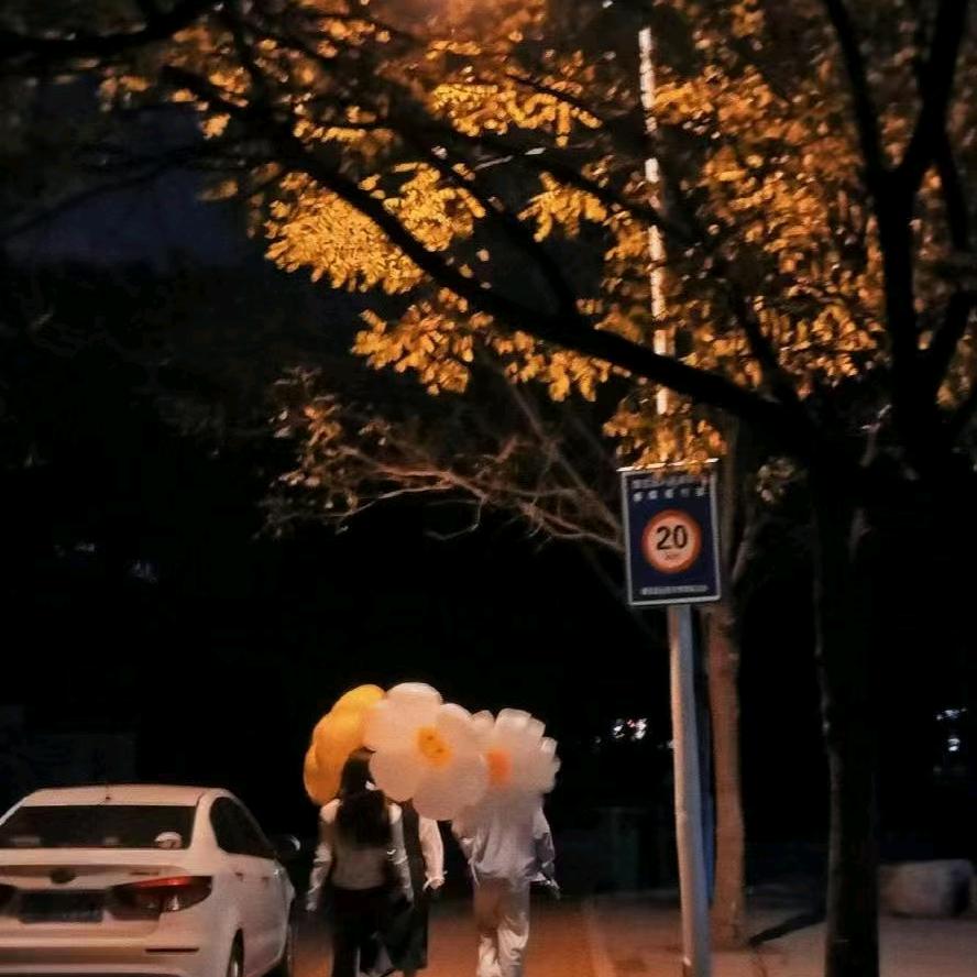 相思味苦王八大补