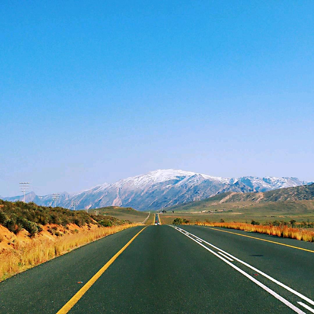 Toby在南非(非洲趣事)