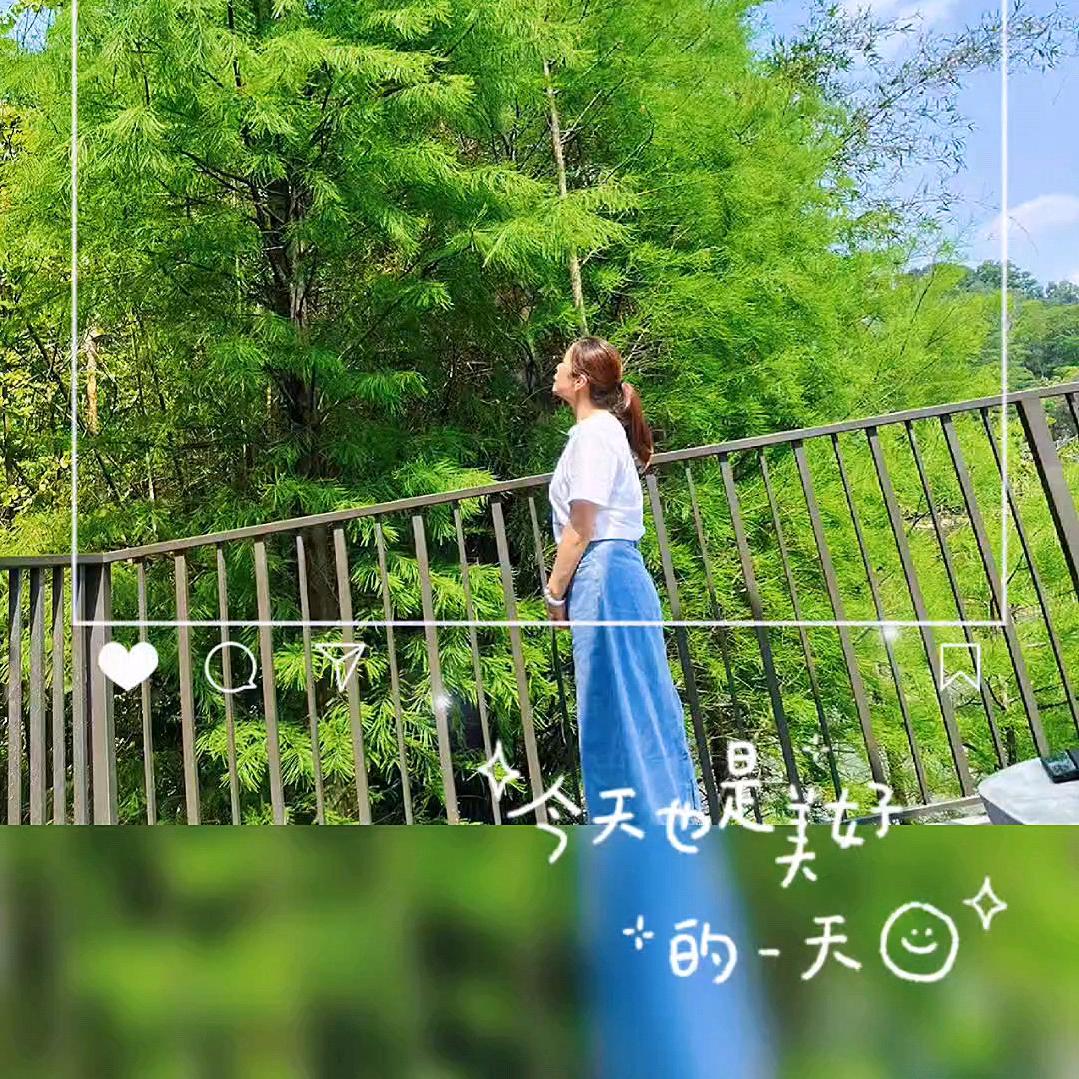 阳光华梦