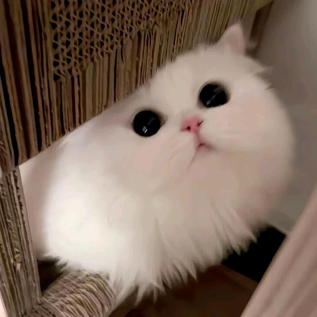 小小航