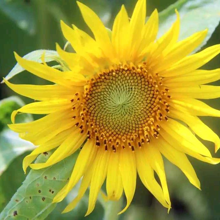 静水流深智者无言