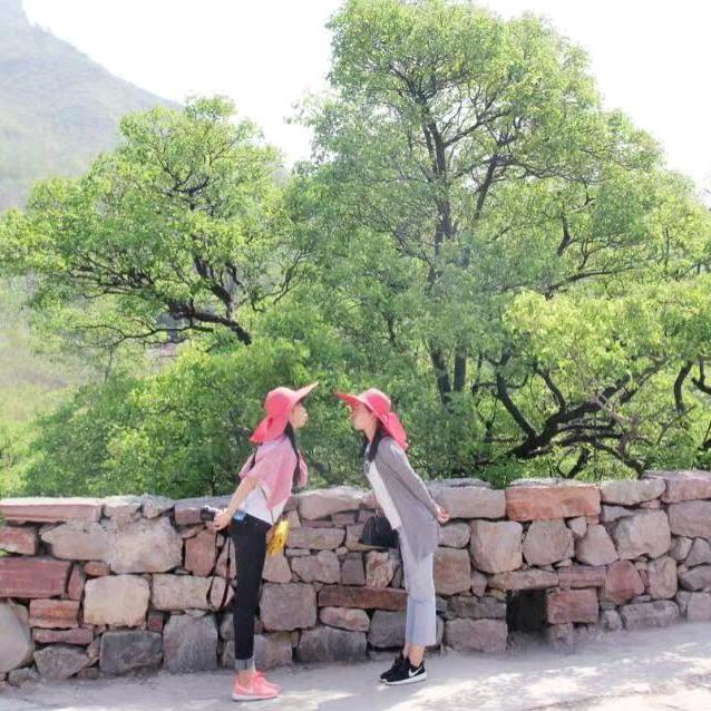 丁香