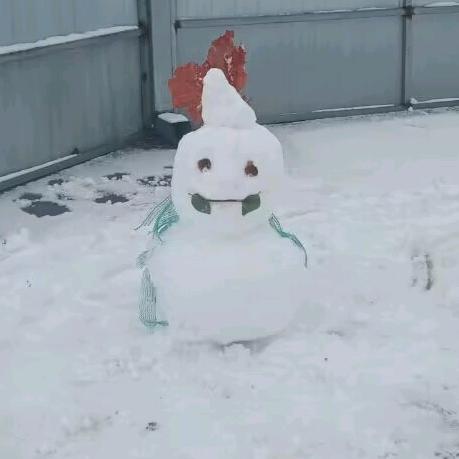 糖仁