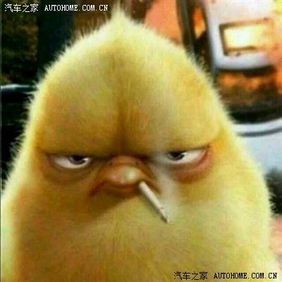 姜洋大盗