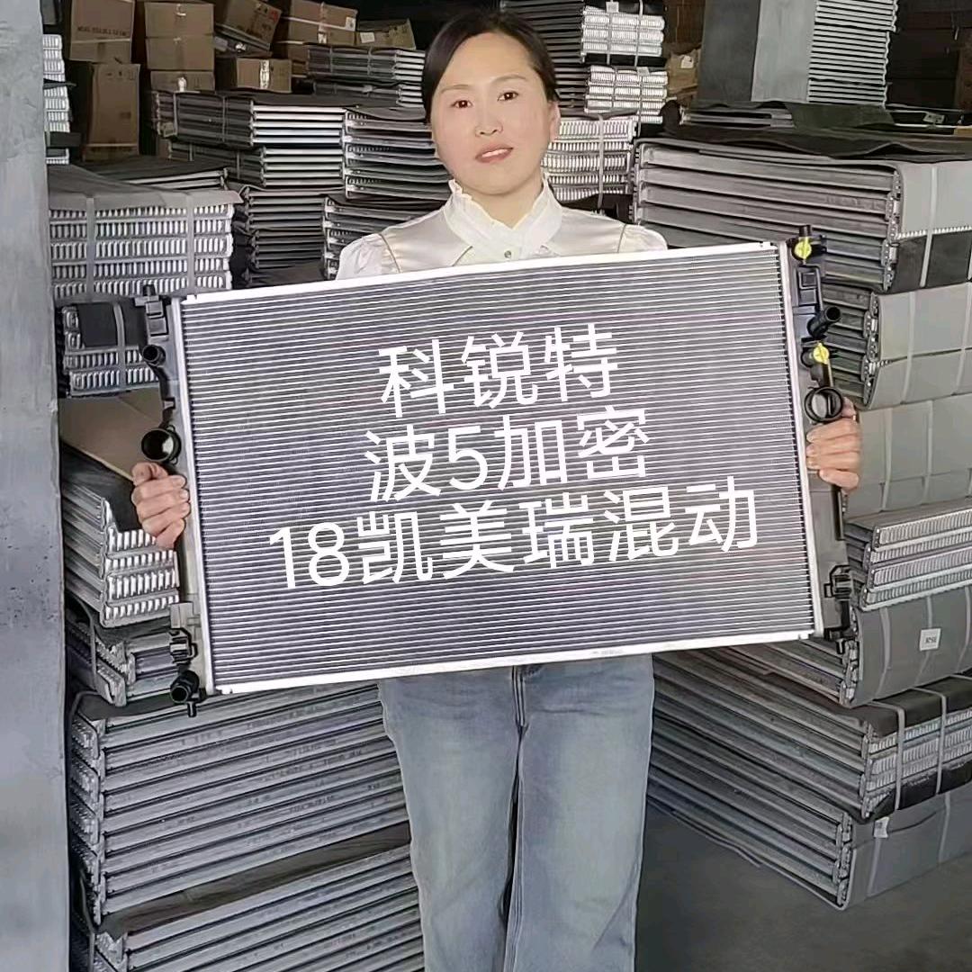 济南轿车水箱逗逗姐