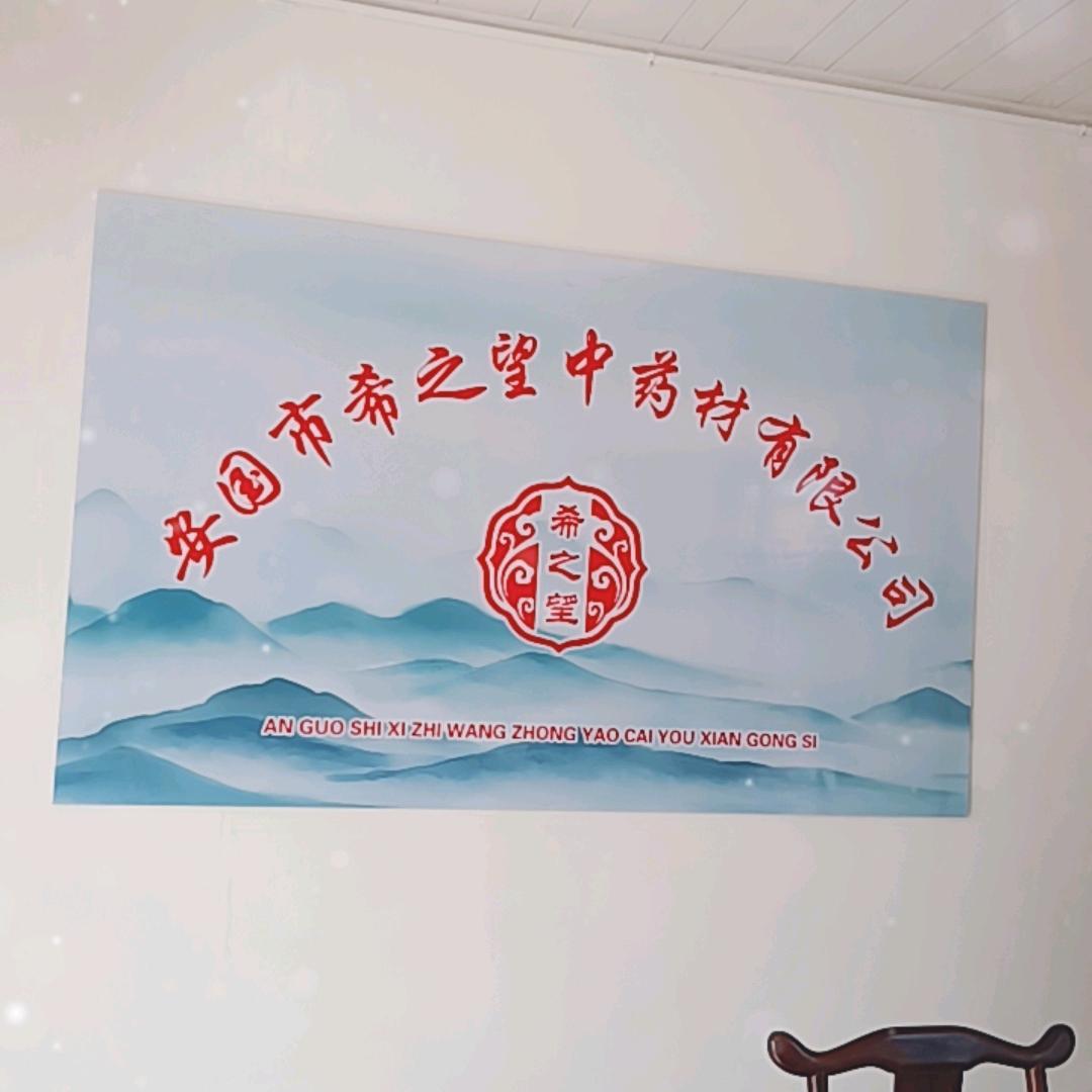 安国市希之望中药材有限公司