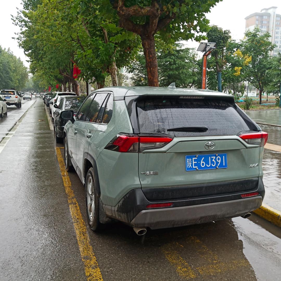 沈南的快乐生活