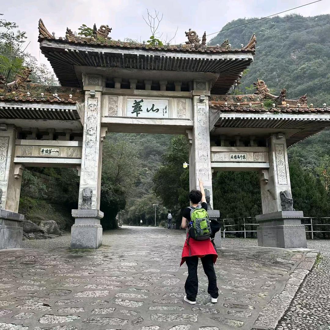 加芬猫