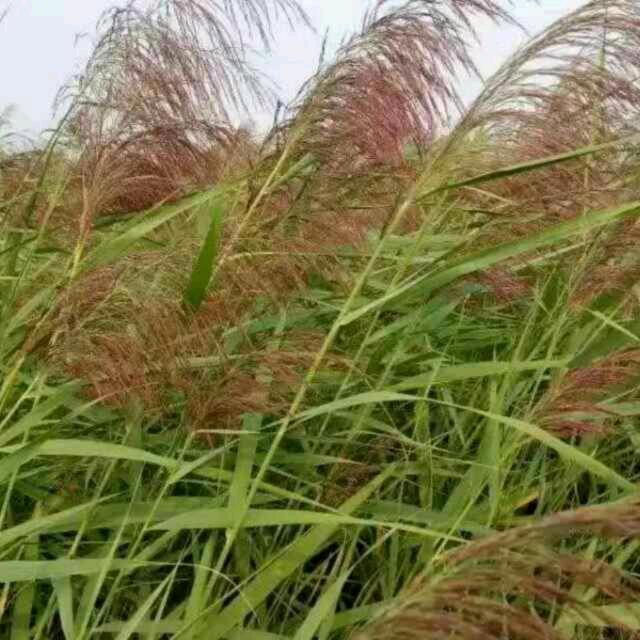 暖冬☆