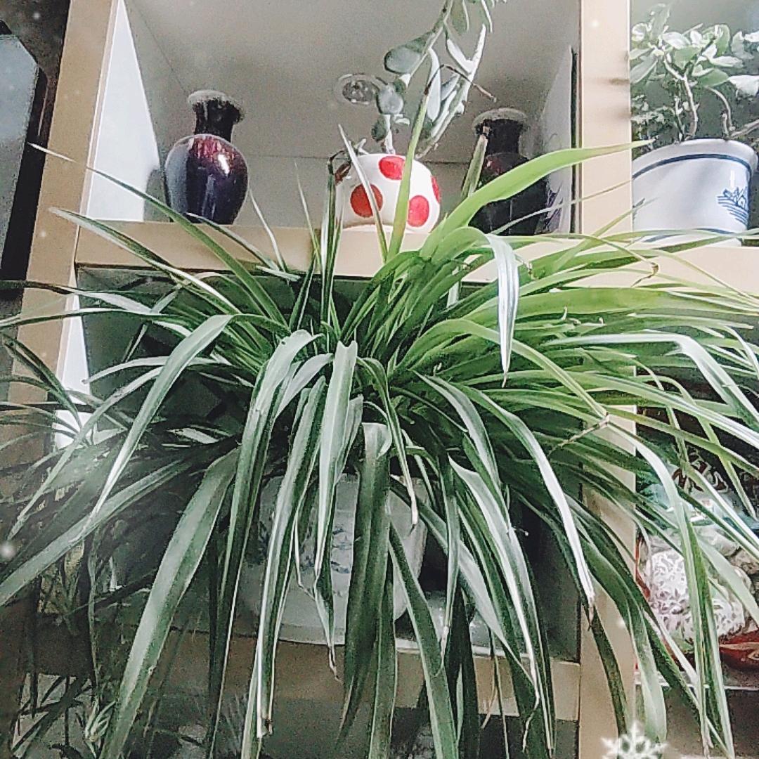 侯经理