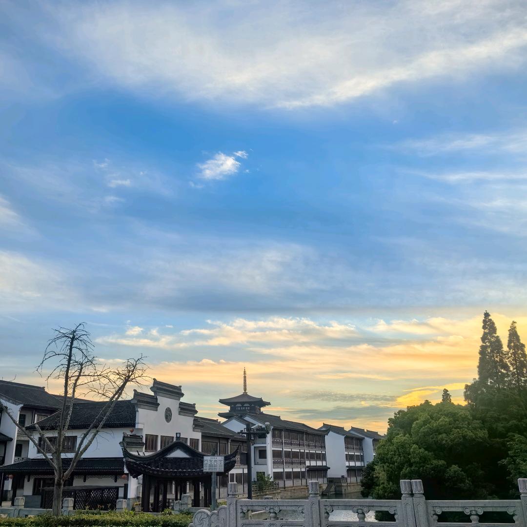 跑不动的歪歪爽