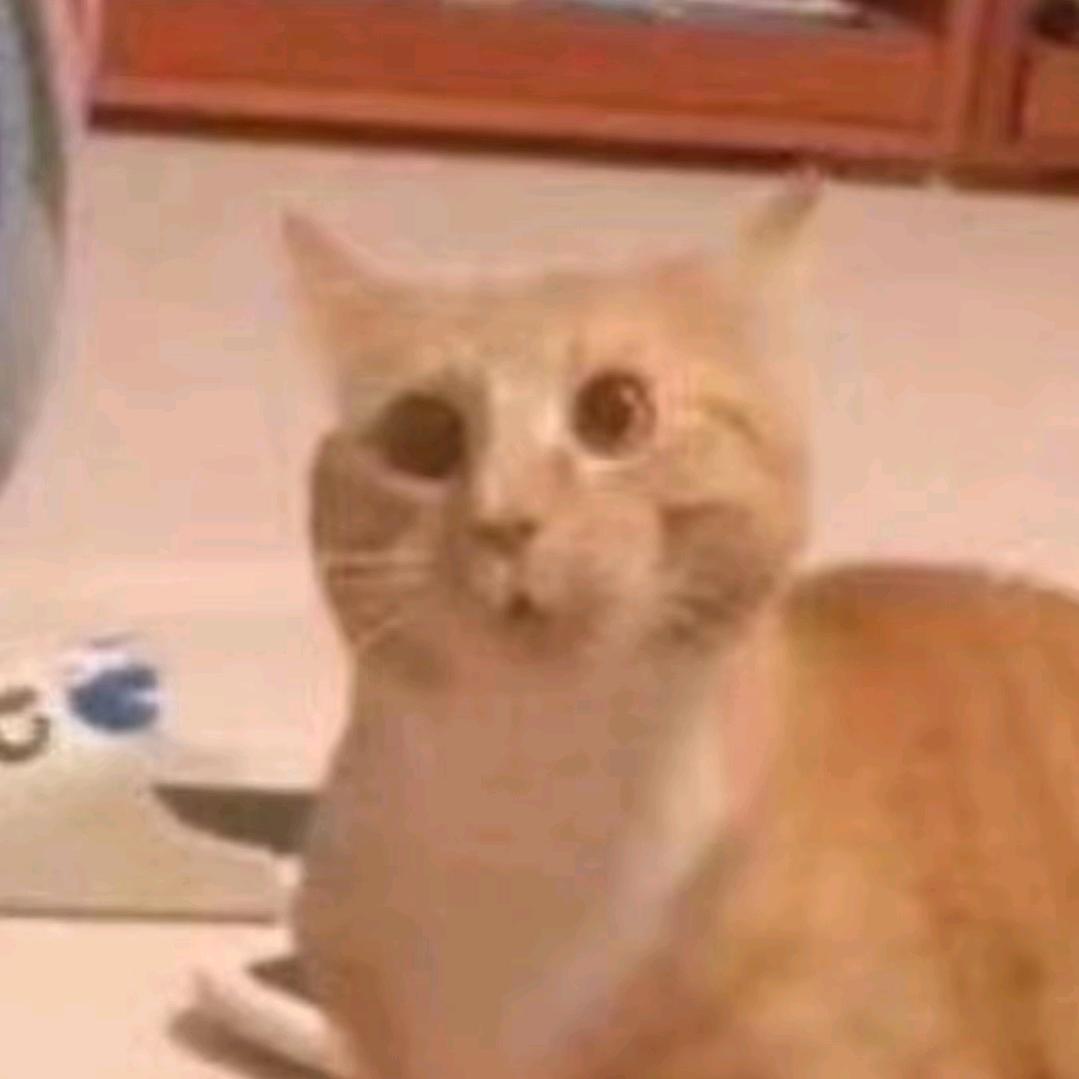 煎饼果子
