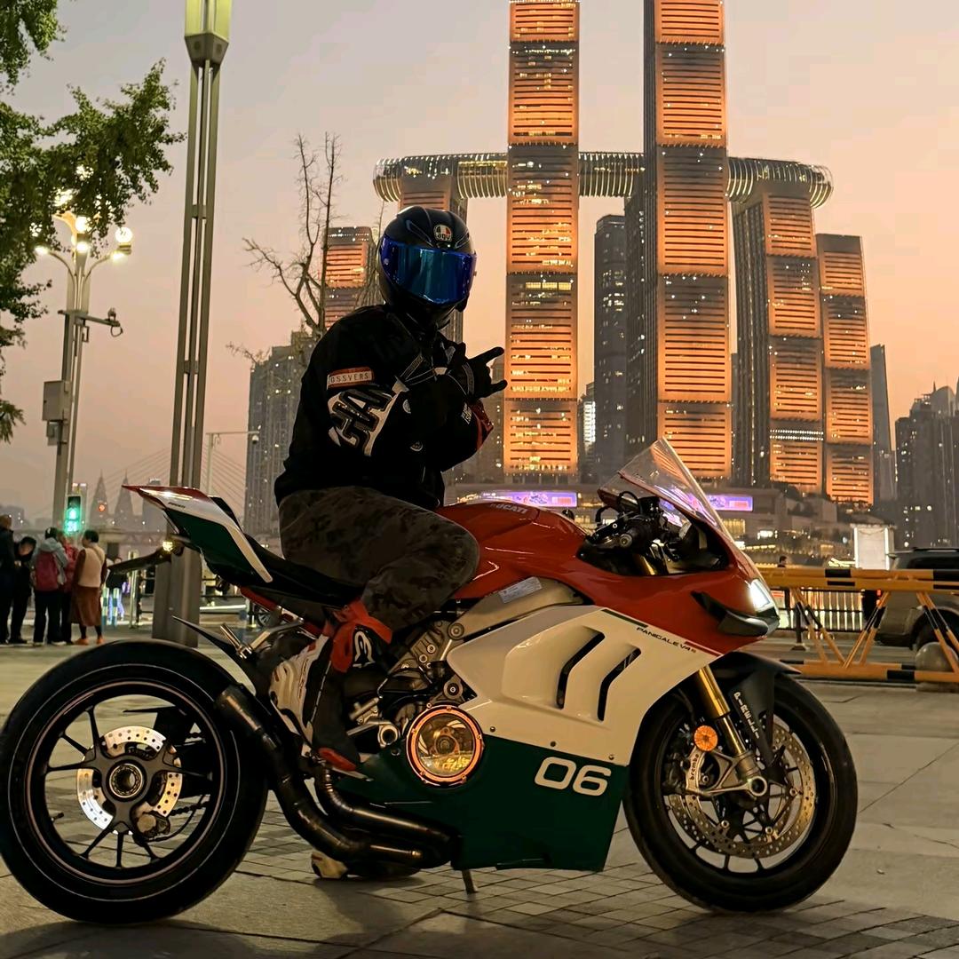 罗密欧和猪过夜