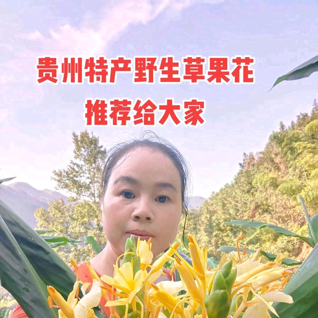 梵净山农特产