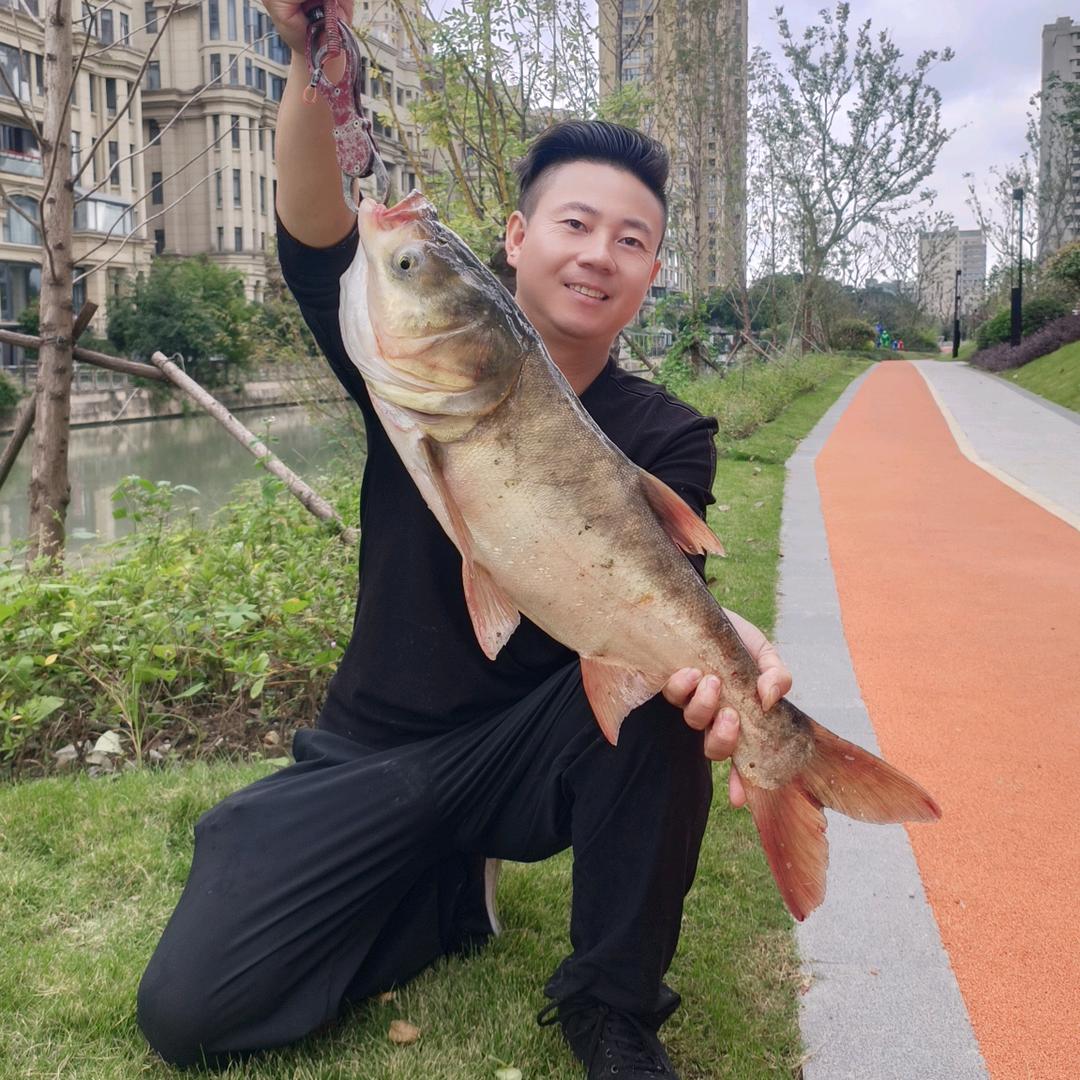 🌈许公子 爱🎣 鱼