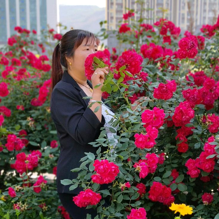 一生平安🌹🌹🙏🙏🍺🍺