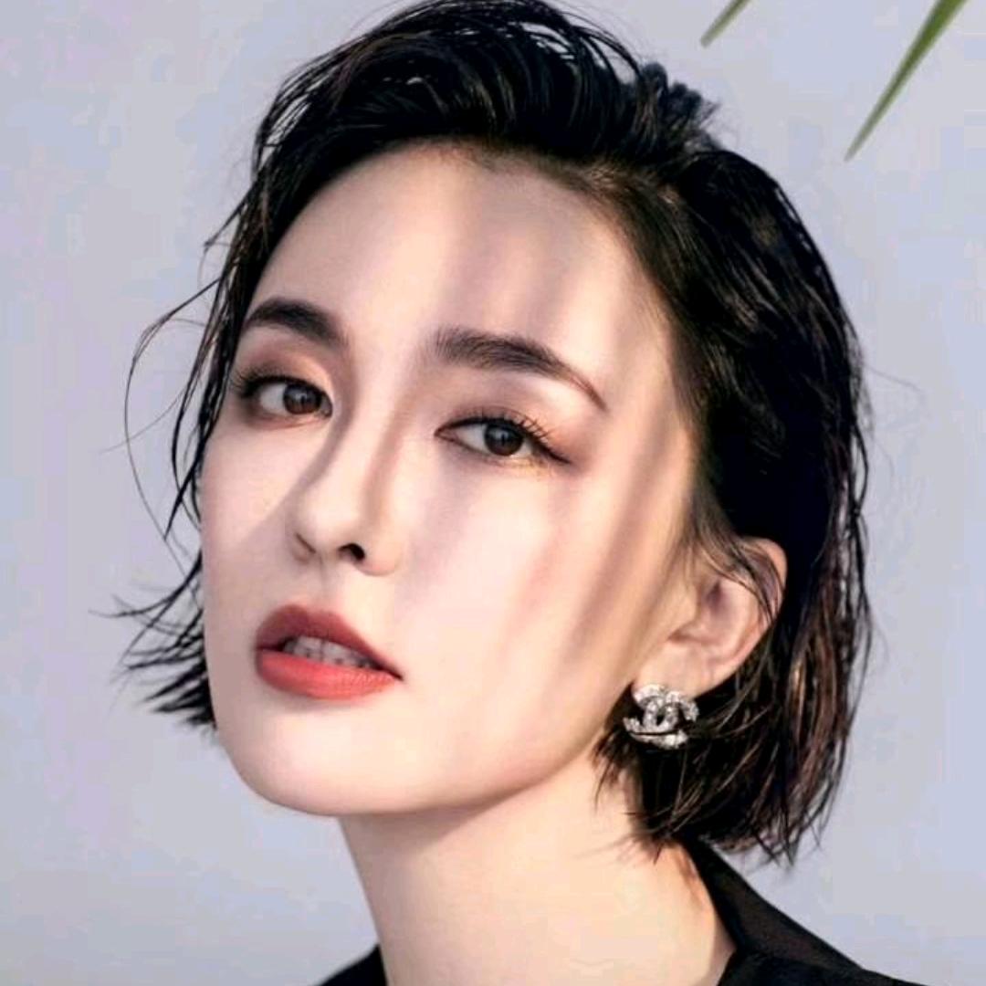 听风的蝉