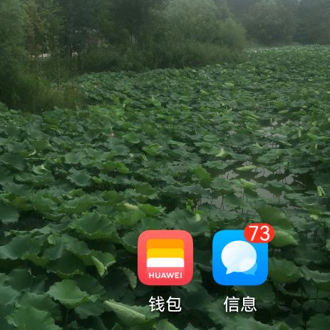 男人本色，舍得