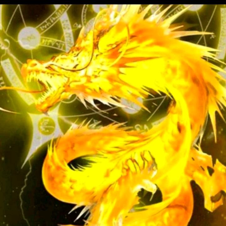 单身请歌