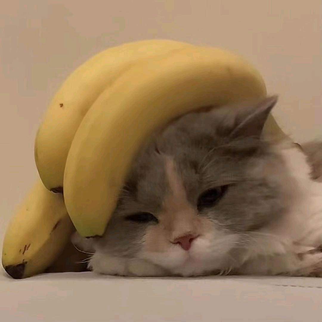 沅.