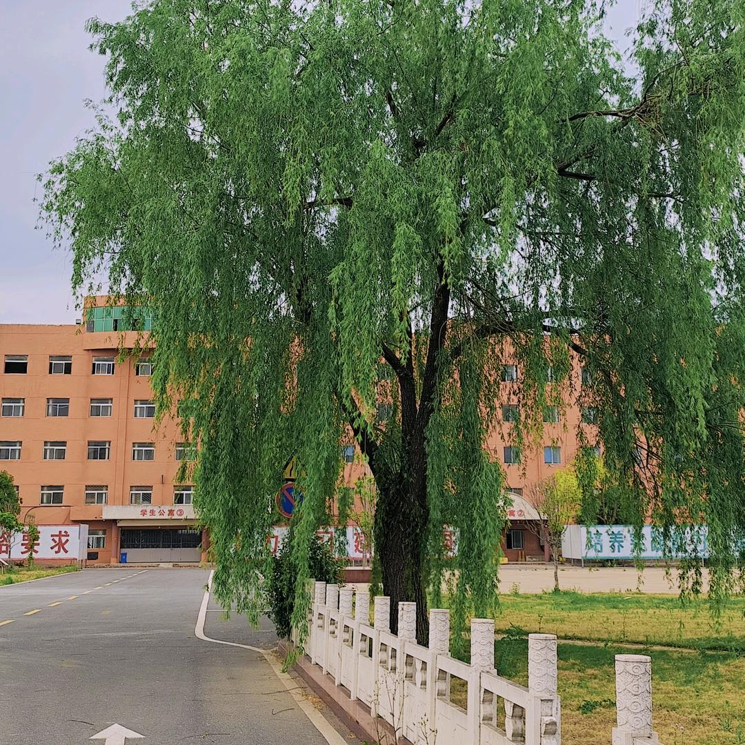 少年军校孙老师