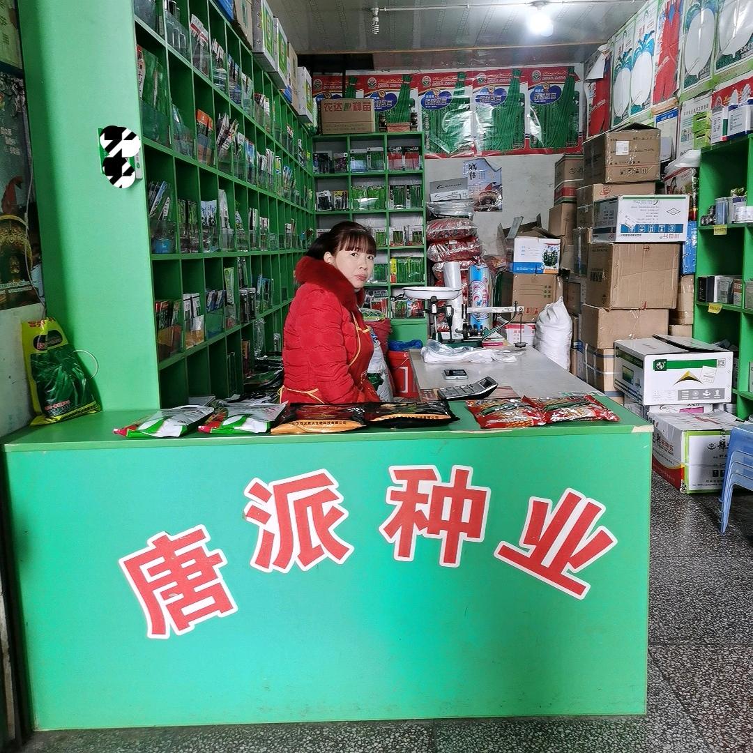 （陈老师）教你种蔬菜